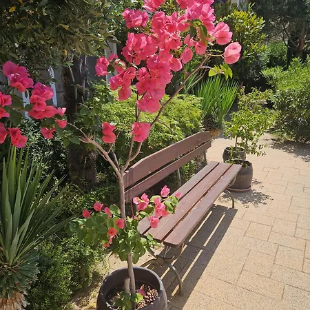 Messembria Palace アパート